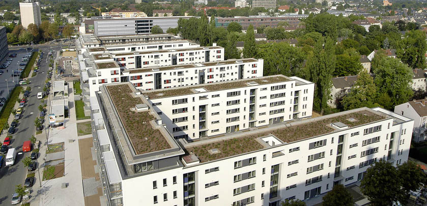Dachbegrünung Düsseldorf